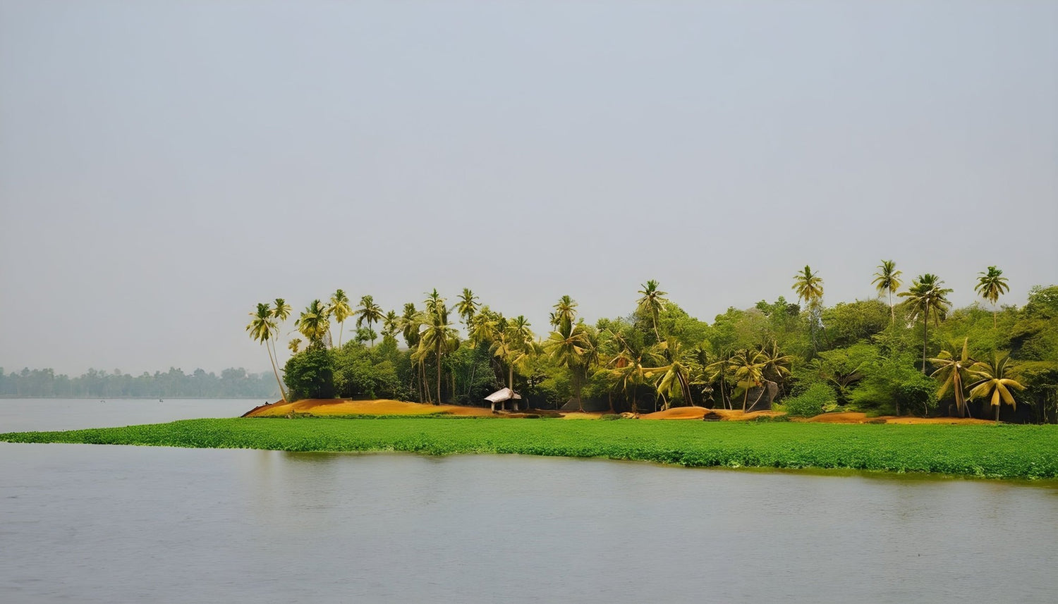 Pathiramanal Island: Alleppey's Serene Nature Escape - Go Houseboat